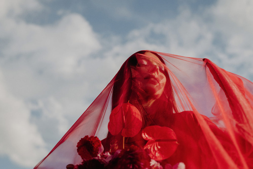 Crimson Red Tulle Veil - head to toe