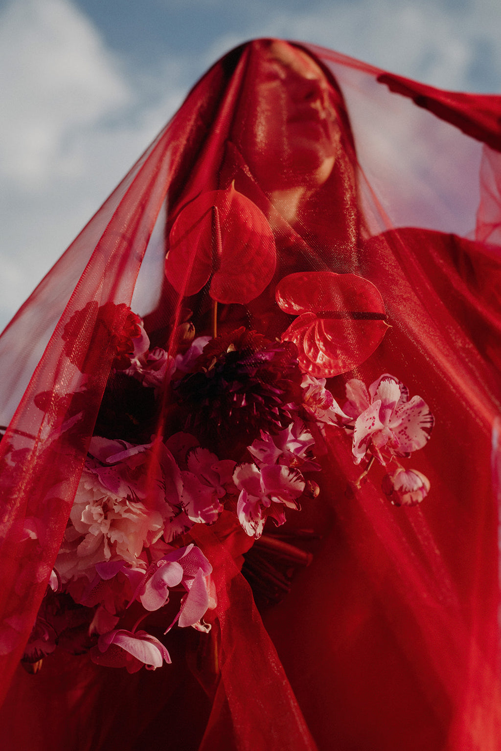 Crimson Red Tulle Veil - head to toe