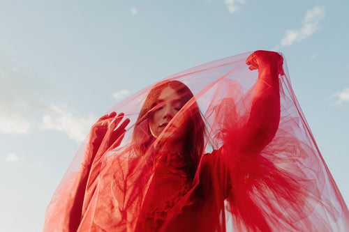 Crimson Red Tulle Veil - head to toe